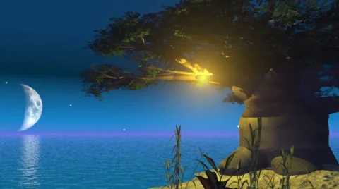 Alien tree by night Stock Footage 46286297