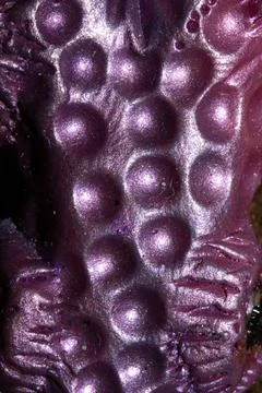 Alien trypophobia holes in a shiny sci-fi close up background Foto stock