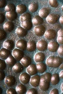Alien trypophobia holes in a shiny sci-fi close up background Stock Photos