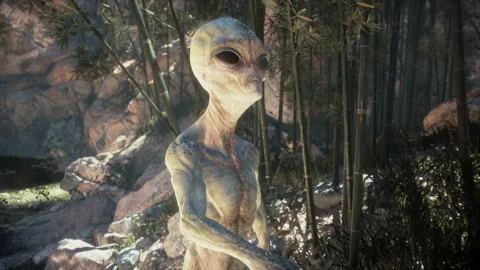 An alien walks through the morning forest on his home planet. The concept of Stock Footage 165287957