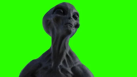 ALIENS LOOKING 스톡 동영상 130295778