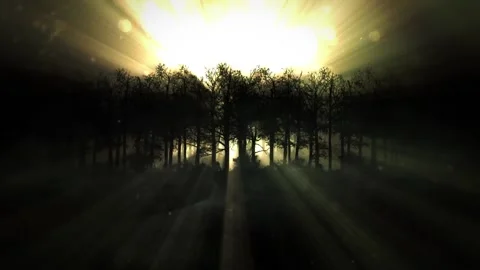Aliens spaceship lights over forrest Stock Footage 165465426