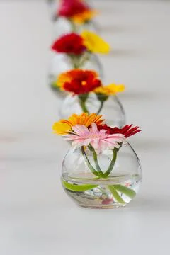 Aligned flowers on table Foto stock