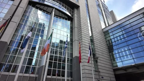 Aligned national flags rising beside the Parliament tower. Stock Footage 321936438