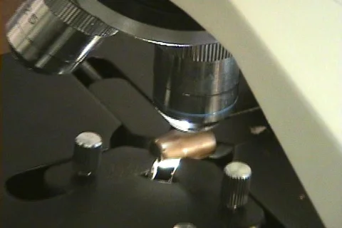 Aligning Bullet Stock Footage 278048