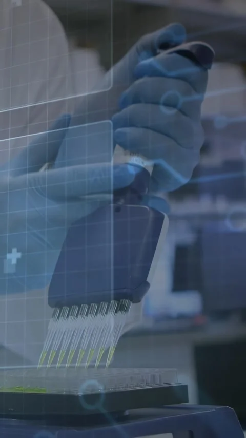 Aligning tips, lab coat gloved hands pipetting over plate at bench with Stock Footage 330547976