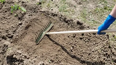 The alignment of the Earth with a rake Stock Footage 310795278