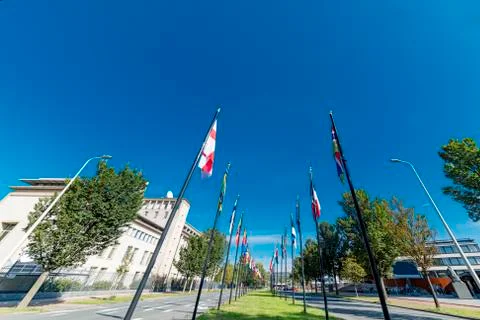 Alignment of flags under a beautiful and sunny blue sky in the International  Stock-Fotos