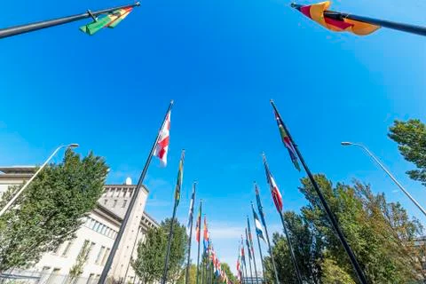 Alignment of flags under a beautiful and sunny blue sky in the International  库存照片