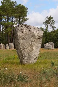 Alignment of Kerlescan, rows of menhirs in Carnac in Brittany Stock Photos