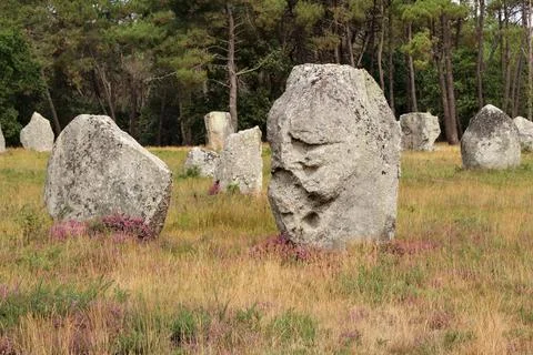 Alignment of Kerlescan, rows of menhirs in Carnac in Brittany Stock Photos