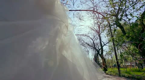 Alii.mp4 Stockbeeldmateriaal 10956671