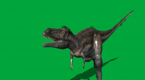 Alioramus 2 Walking Forward Video stock 32846612