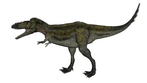 Alioramus dinosaur walking - 3D render Stock Illustration