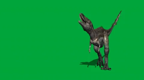 Alioramus walking forward to attack FS Video stock 32846533