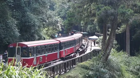 Alishan Forest Railway Stock Footage 133647378