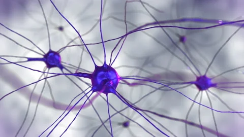 Alive artificial intelligence int the scientific footage inside human brain Stock Footage 234648030