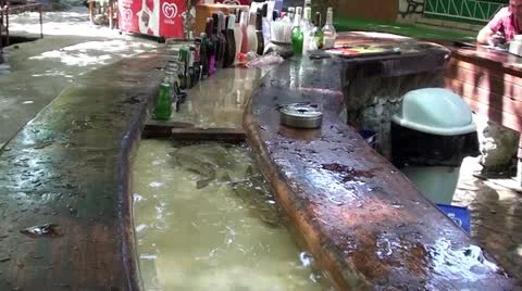Alive fish bar counter Video stock 12381376