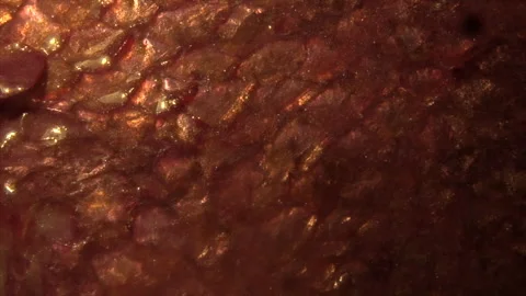 ALIVE Stock Footage 299597936