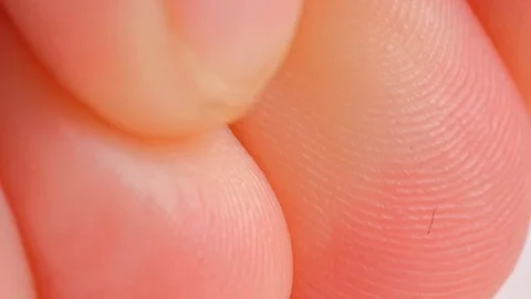 Alive skiny Stock Footage 98218308