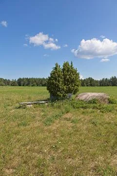 Aljava Ukukivi (Offering stone of Uku). Stock Photos
