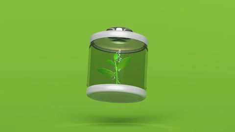 Alkaline battery charge indicator with tree, thunder isolated on green back.. Video stock 276152549