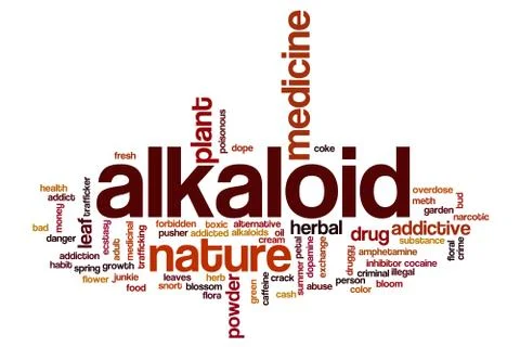 Alkaloid word cloud Stock Illustration