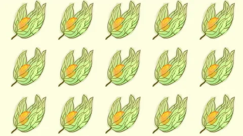 Alkekengi pattern, ideal for themes such as cooking and more Video stock 132783024