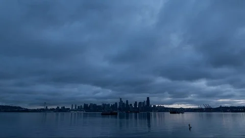 Alki Beach TL-1 Stock Footage 118565116
