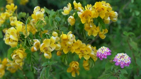 All about colours Stock Footage 153470506