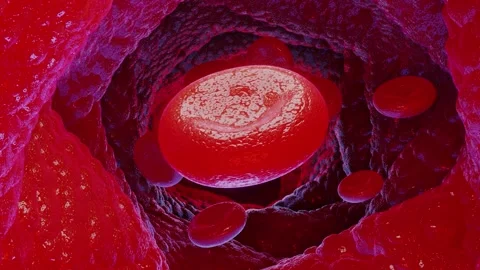 All Blood cells, 3d render Stock Footage 136461900