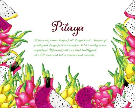 All colors pitaya frame Stock Illustration