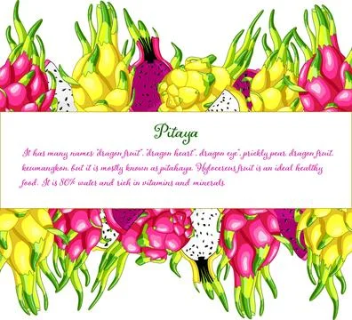 All colors pitaya rectangle frame Stock Illustration