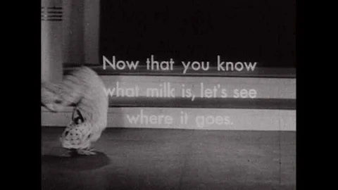 All different kinds of people enjoy milk, in this 1934 promotional film. Stock Footage 106908243