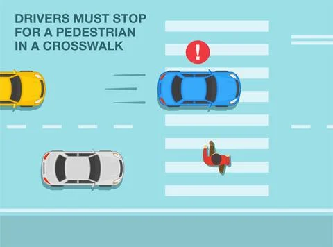 All drivers must stop for a pedestrian in a crosswalk. Failing to stop. Top view Stock Illustration
