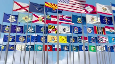 All the Flags of the United States together on a flagpole flutter in the wind. Stock Footage