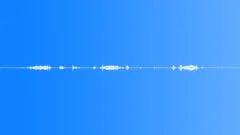 All The Great Sounds Of A WetlandSound Effect
