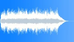 All Hat - No Cattle (WP) 01 MT ( funk,country,fast,spoof,comedy,fun,energetic)Stock Music