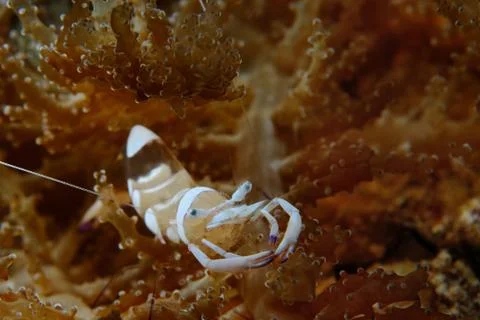 All is mine Stock Photos