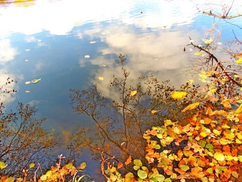 All mixed up in one reflection and the sky and water Foto stock