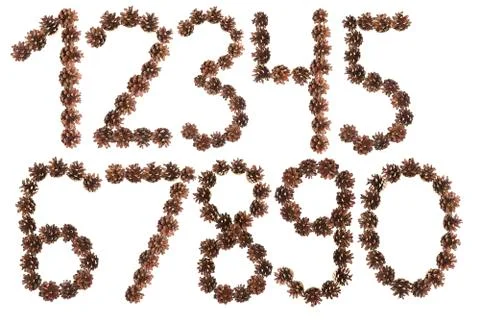 All number made of pine cone Stock Photos