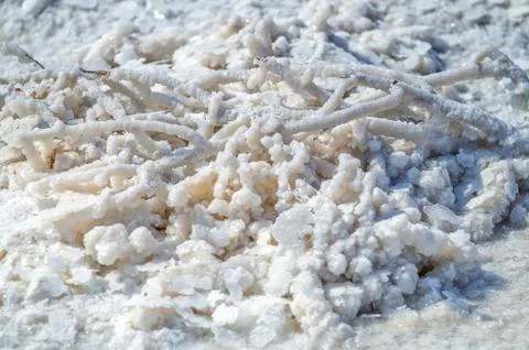 All objects in Baskunchak lake covered with salt. Water contains minerals. Stock Photos