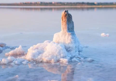 All objects in this lake covered with salt. Stock-Fotos