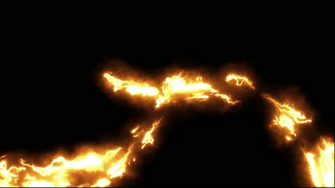 ALL IN ONE Stock Footage 159827342