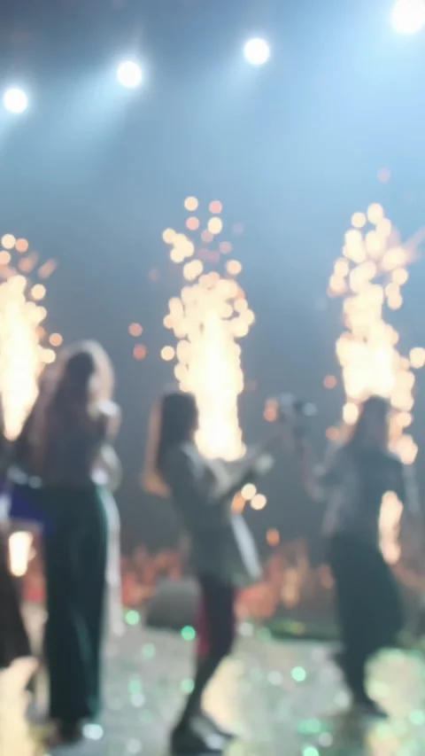 All participants of the concert program on stage at the end of their performance Stock Footage 306720829