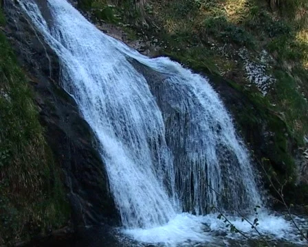 All-Saints-Falls (Allerheiligen-Wasserfälle) Stock Footage 71553