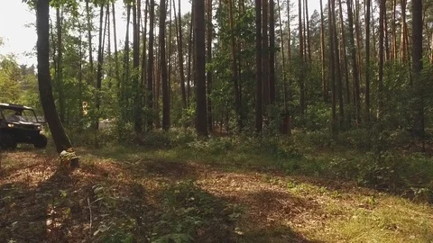 The all-terrain vehicle (UTV) pulls a trailer through the woods Stock Footage 97594425
