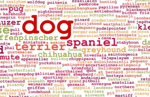 All types of dogs Stock Illustration