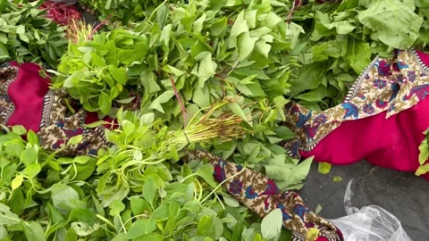 All types of leafy greens in vegetable market Video stock 311793087