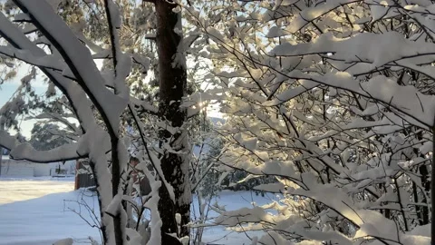 All under the snow Stock Footage 226950976